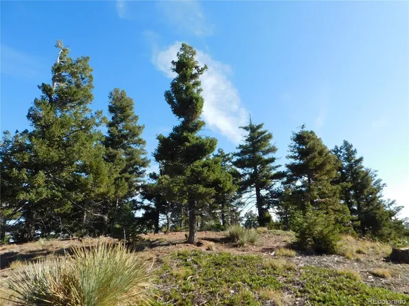 13050 Deer Ridge Way LOT 109, Larkspur, CO 80118