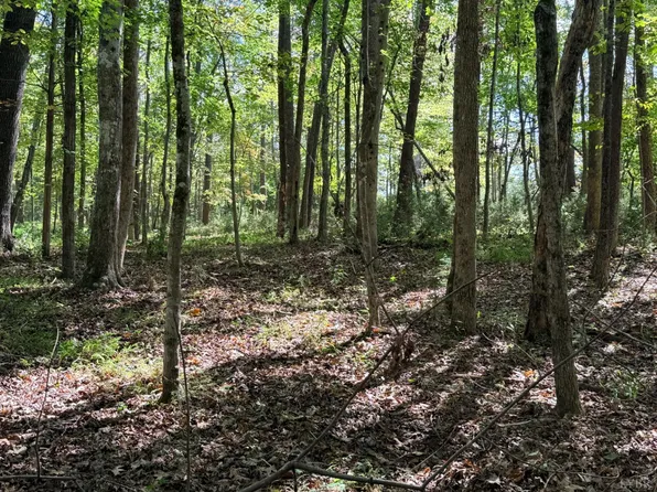 LOT 25 Cutlass Rd, Moneta, VA 24121