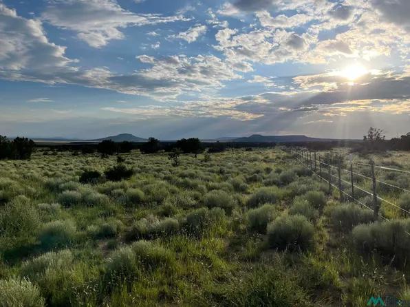 0 Tba Rd, Quemado, NM 87829