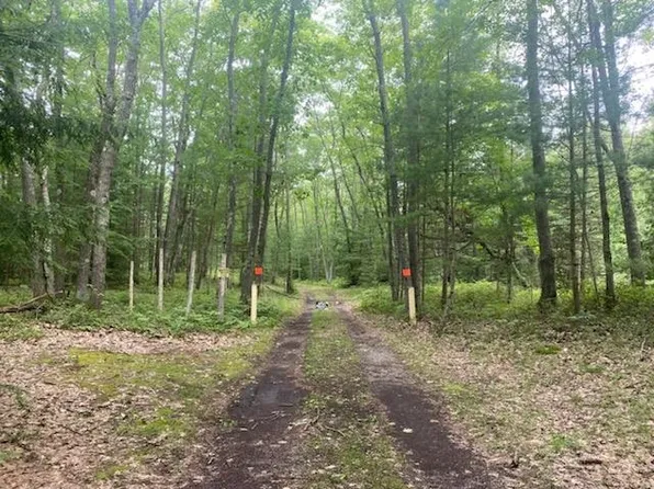 W Ausable Point Rd, Oscoda, MI 48750