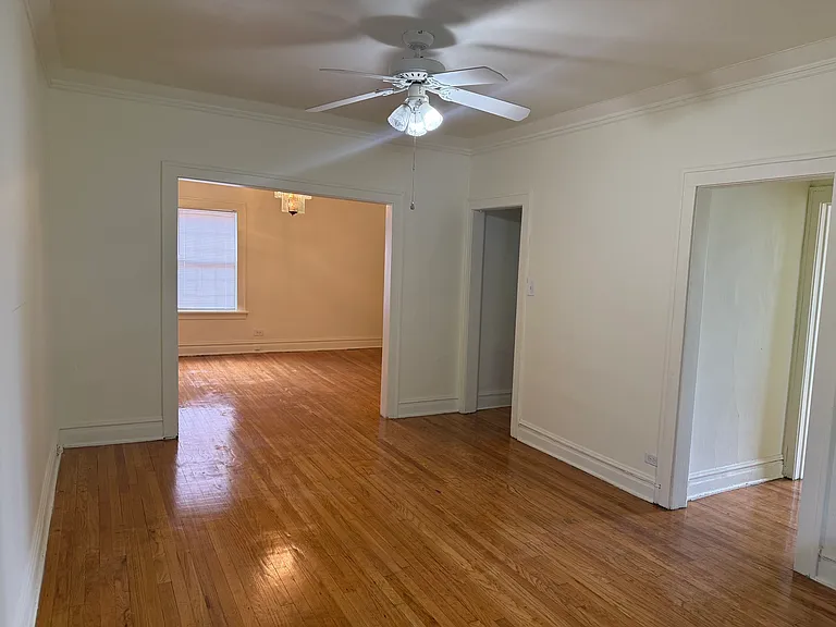 7341 S Michigan Ave #2R — Photo 3