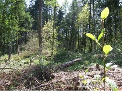 8918 Danforth St NW, Gig Harbor, WA, 98329