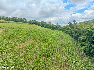 Property photo 51