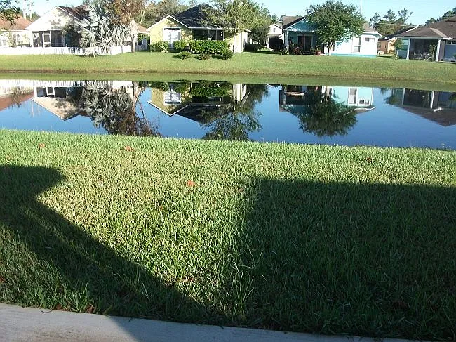 432 Chamberlain Dr — Photo 21