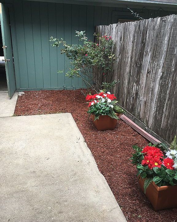 Back Patio