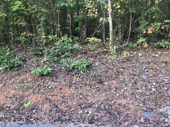 LOT 1 Stonebrook Cove Dr, Jasper, AL 35504