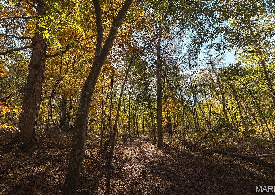 67th image of this home