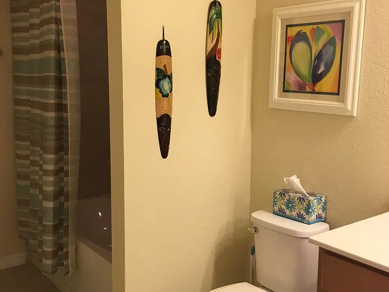 Guest Full Bath w Washer Dryer Closet Also