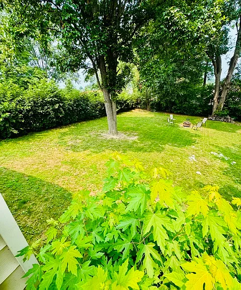 208 Surrey Rd — Photo 15