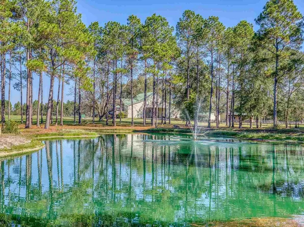 1650 Bear Bay Flats Rd, Laurel Hill, FL 32567