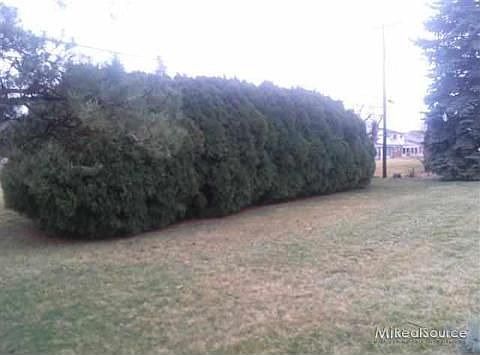 5th image of 8386 Carriage Hill Dr