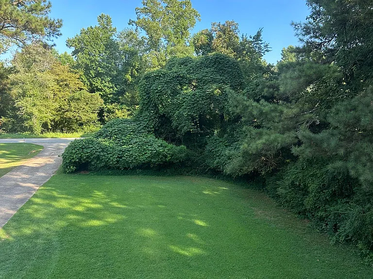 1770 Lumpkin Campground Rd S — Photo 5