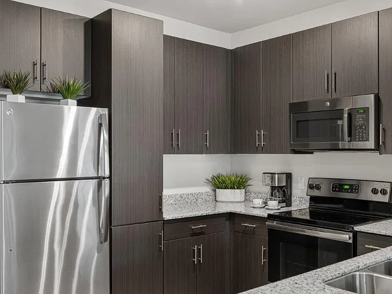 Palms Luxury Apartments — Photo 13