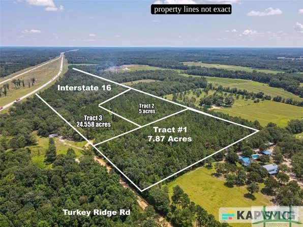 TRACK 1 TURKEY RIDGE Road, Metter, GA 30439