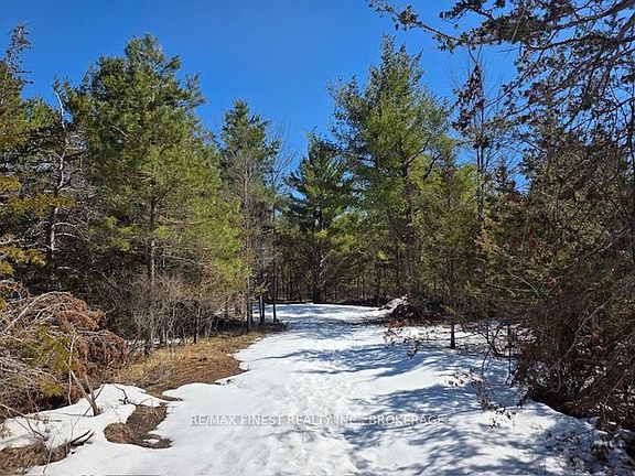 3rd image of 590 Love Rd