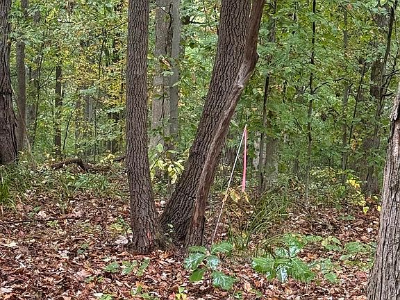 3rd image of 4130 Elkhorn Rd
