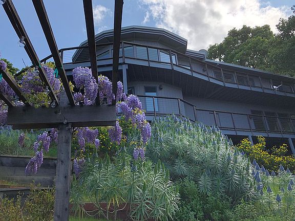 View from garden area