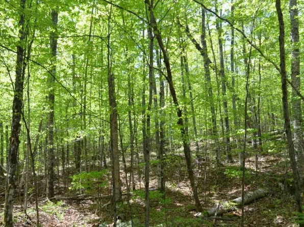 On Other Townhall, Springbrook, WI 54875