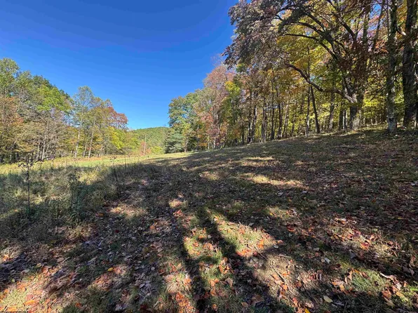 TRACT 3A Isner Run, Elkins, WV 26241