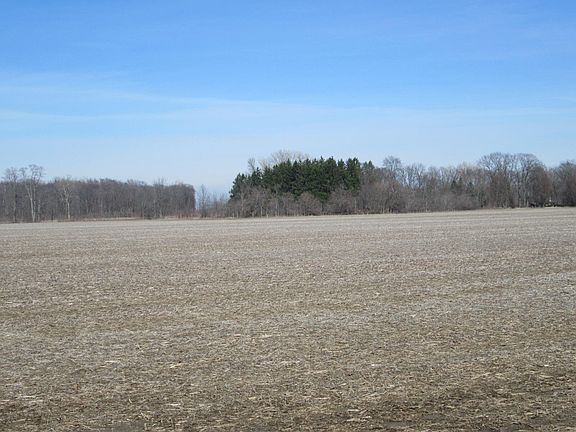 2nd image of V/l W Lemon Creek Rd #4