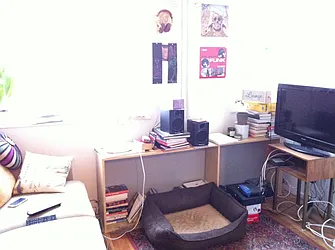 Rented by David Francis New York LLC