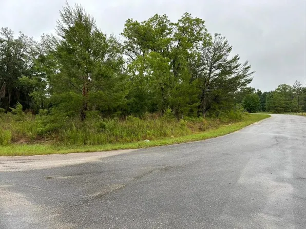 1 Malauka Radial Dr #3, Ocklawaha, FL 32179