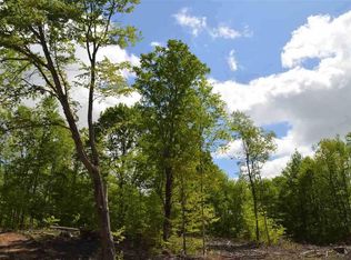 B Springhill, Alba, MI 49611