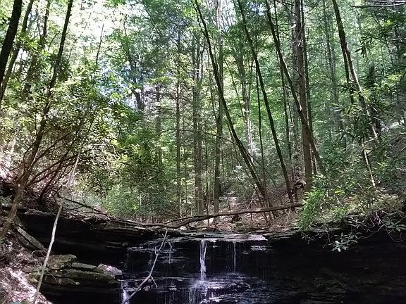 4th image of Cherokee Trl