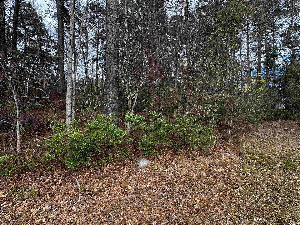 2nd image of Dogwood Trl