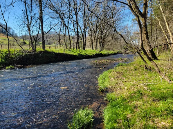 0 Campbellsville Pike, Lynnville, TN 38472