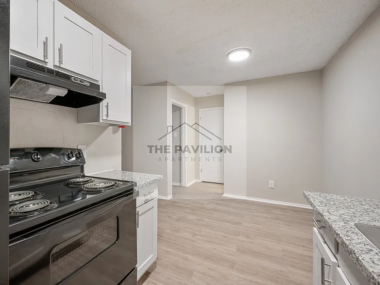 THE PAVILION APARTMENTS — Photo 23