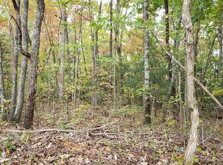 161 Ross Rd, Blue Ridge, GA 30513