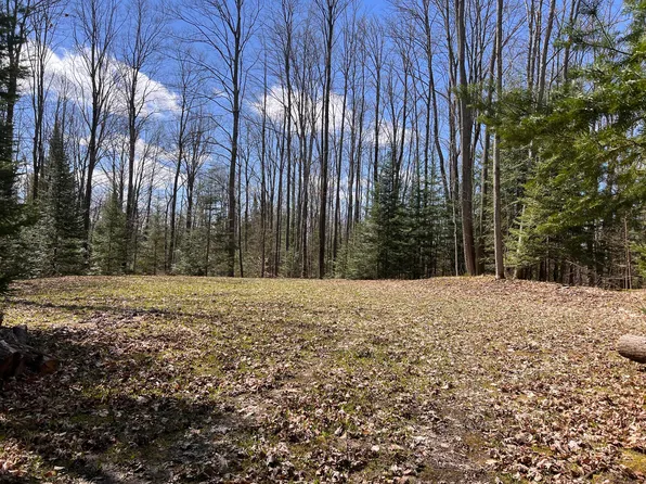 7483 M 32 E, Johannesburg, MI 49751