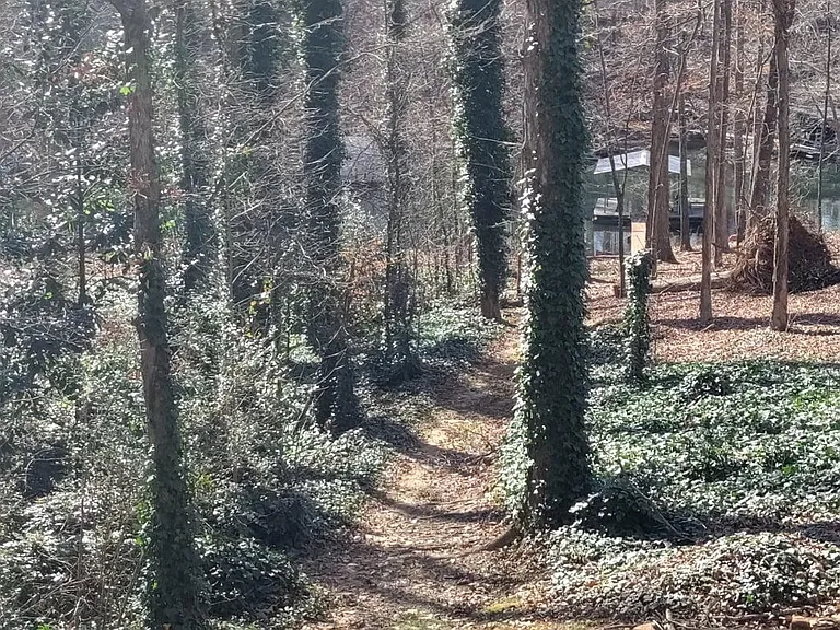 The lake is just a few steps away