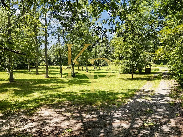 951 Walter Bright Rd — Photo 13