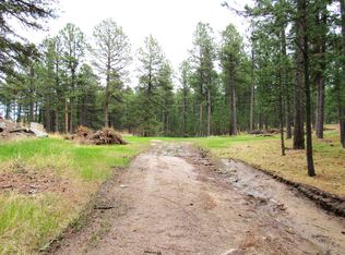 Goodart Rd, Hill City, SD 57745