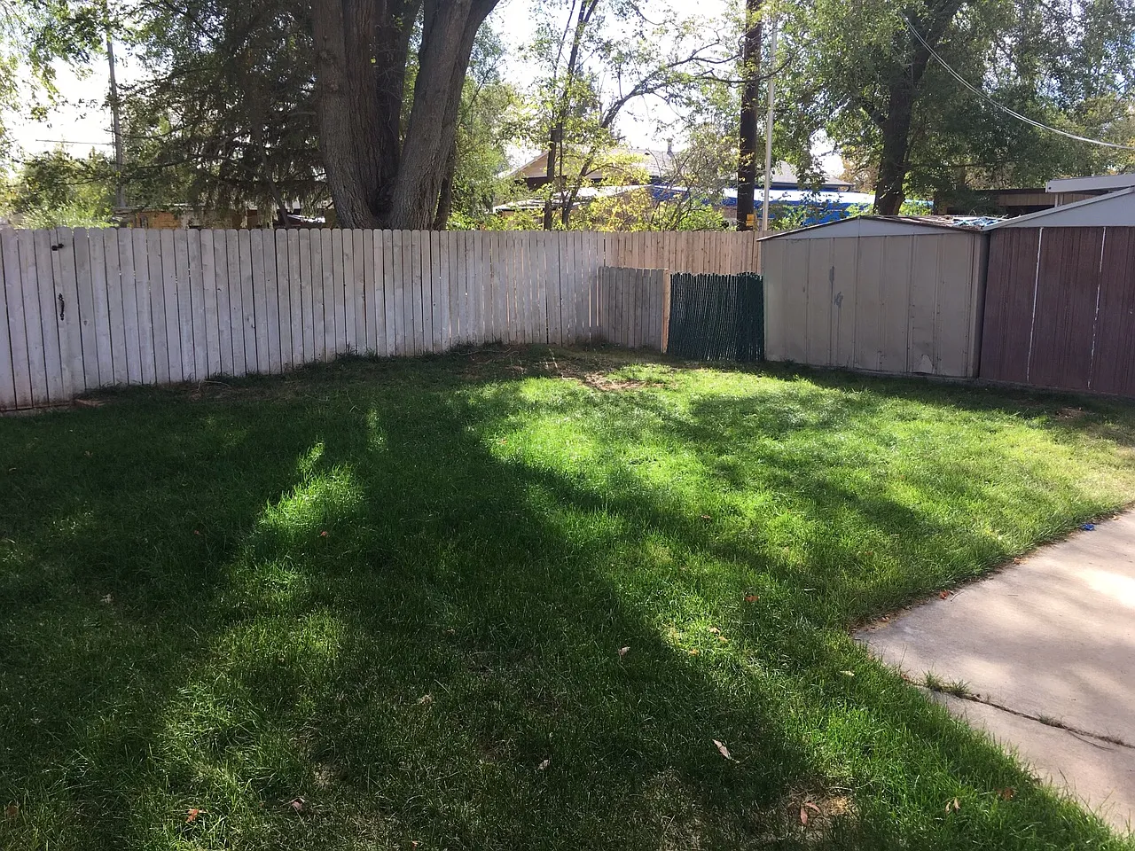 2 bed, 700 sqft, $1,500 — Photo 2