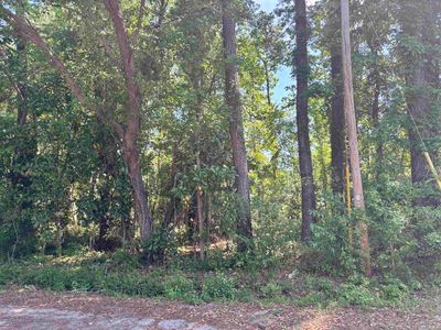 TBD Wilson Ln Lot 7, Conway, SC, 29526