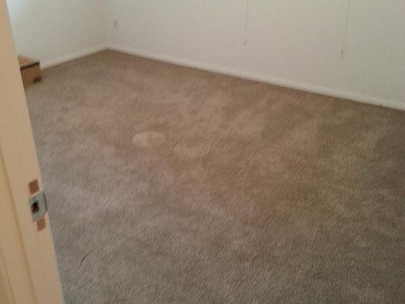 5th image of 11274 Liana Ln