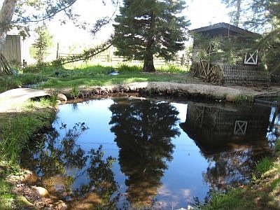 Pond and shed