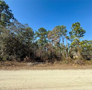 0 Macassar Rd, Brooksville, FL, 34614