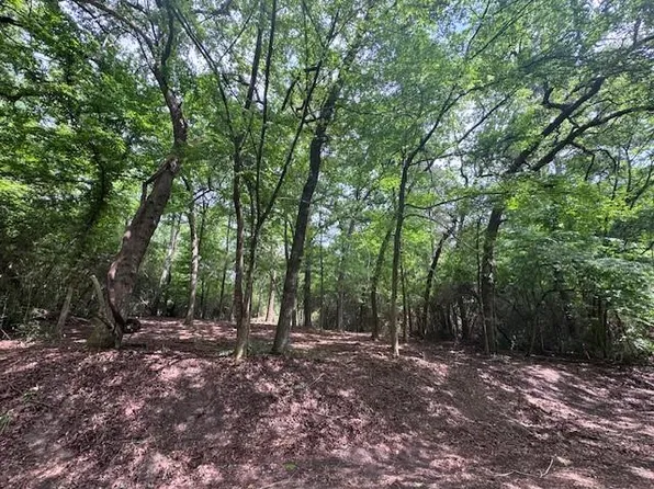 Tbd5 Spreading Oak #5-lot 11-17, Trinity, TX 75862