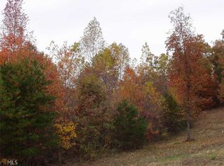 8 Chimney Lake Dr, Cleveland, GA 30528