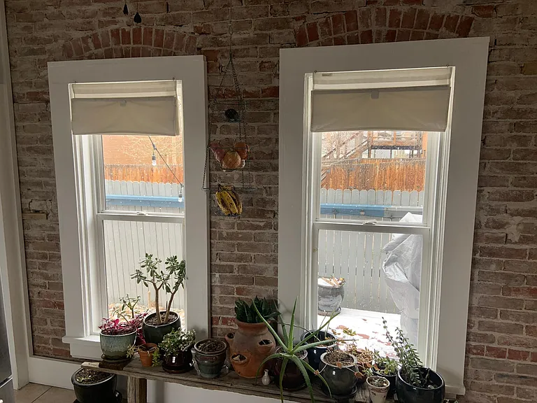 Kitchen windows to side yard.