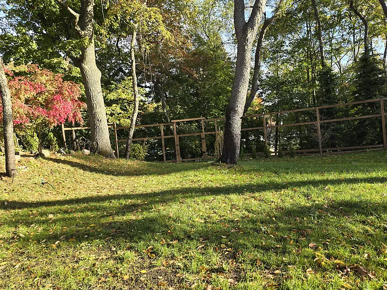 back yard.