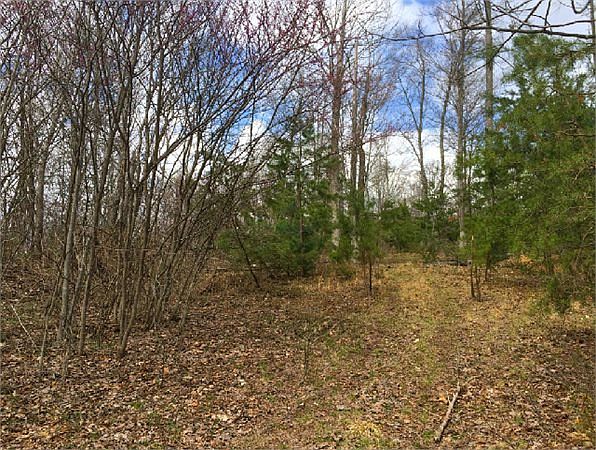 1st image of Chestnut Ridge
