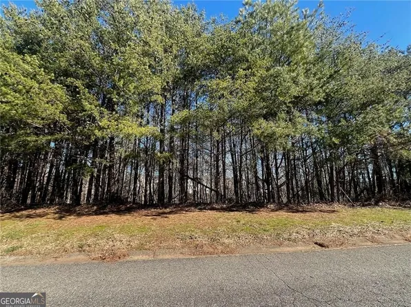 924 Whistler Ln Lot 66, Canton, GA 30114