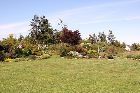 Fantastic back yard that is fully fenced.