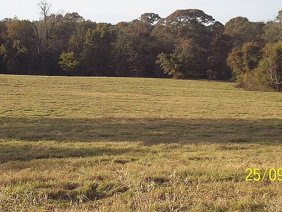 Pasture