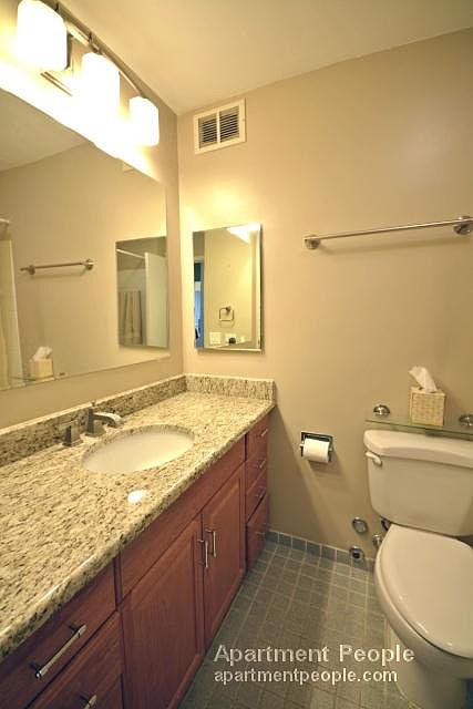 2nd image of 1560 N Sandburg Ter APT 4011
